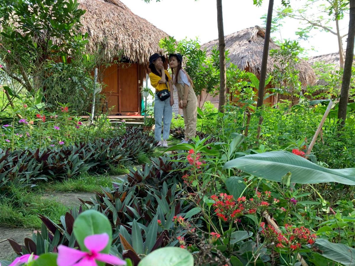 Cuc Phuong Bungalow Nho Quan Exteriör bild