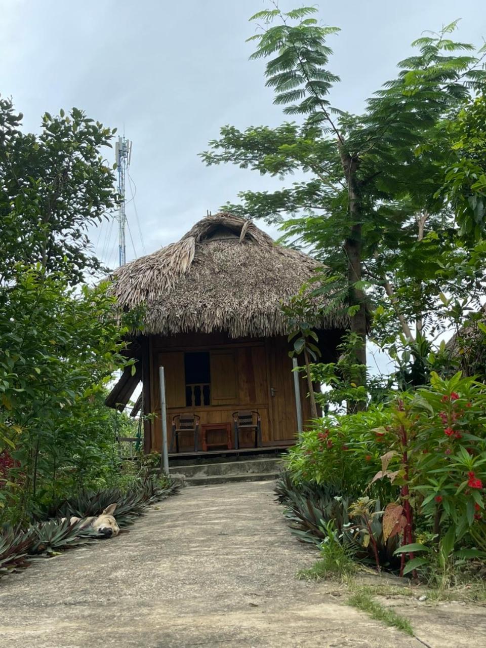 Cuc Phuong Bungalow Nho Quan Exteriör bild