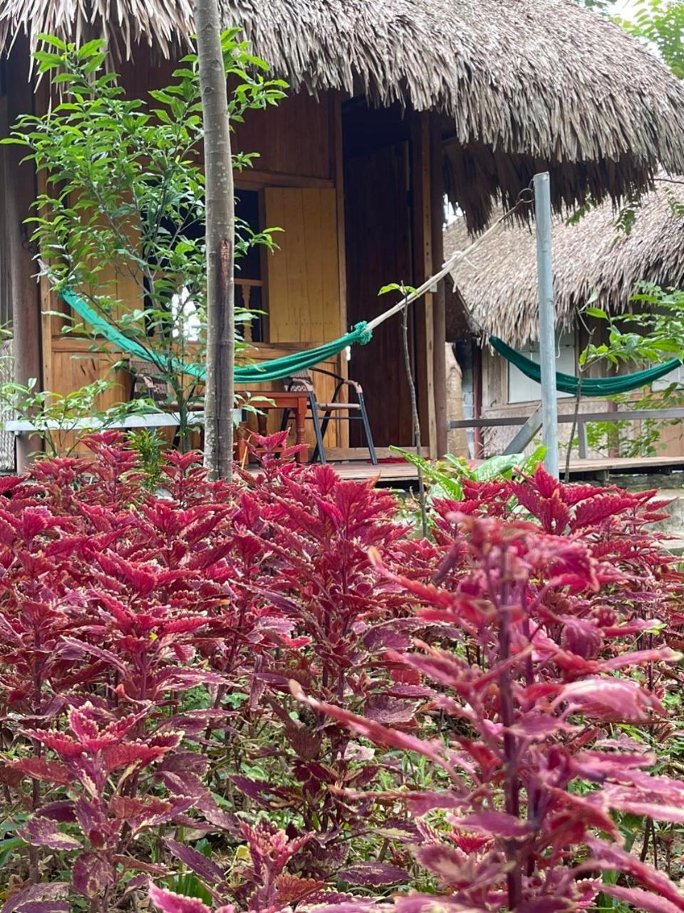 Cuc Phuong Bungalow Nho Quan Exteriör bild