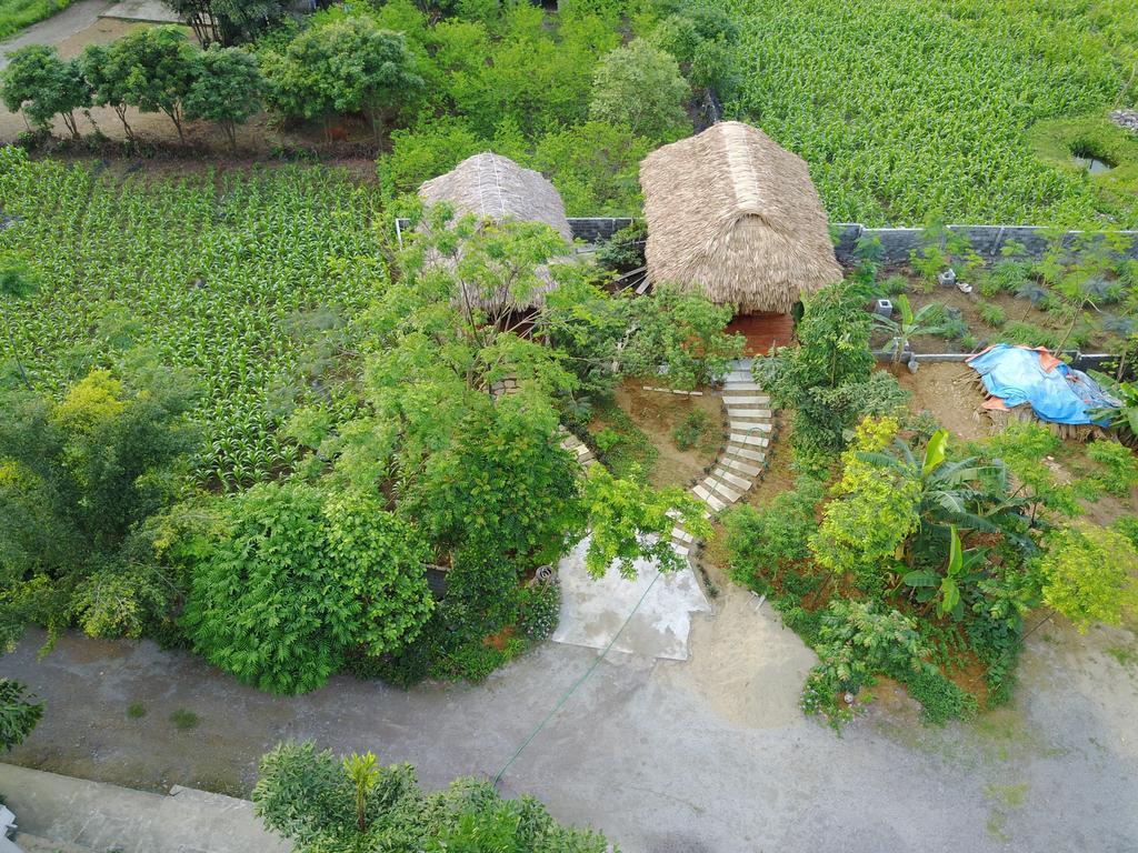 Cuc Phuong Bungalow Nho Quan Exteriör bild